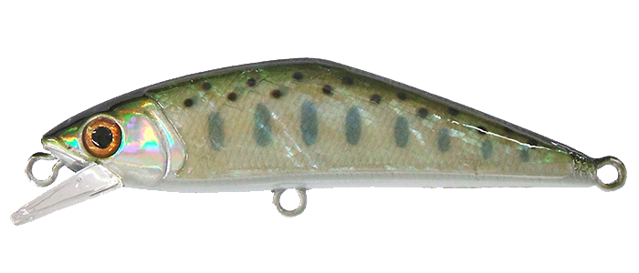 スミス　Dコンタクト　アワビ　4個セット D-コンタクトアワビ | 宮崎市の釣具店 FISHING BASE PLAISANCE