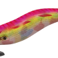 クリックス エクスペクト