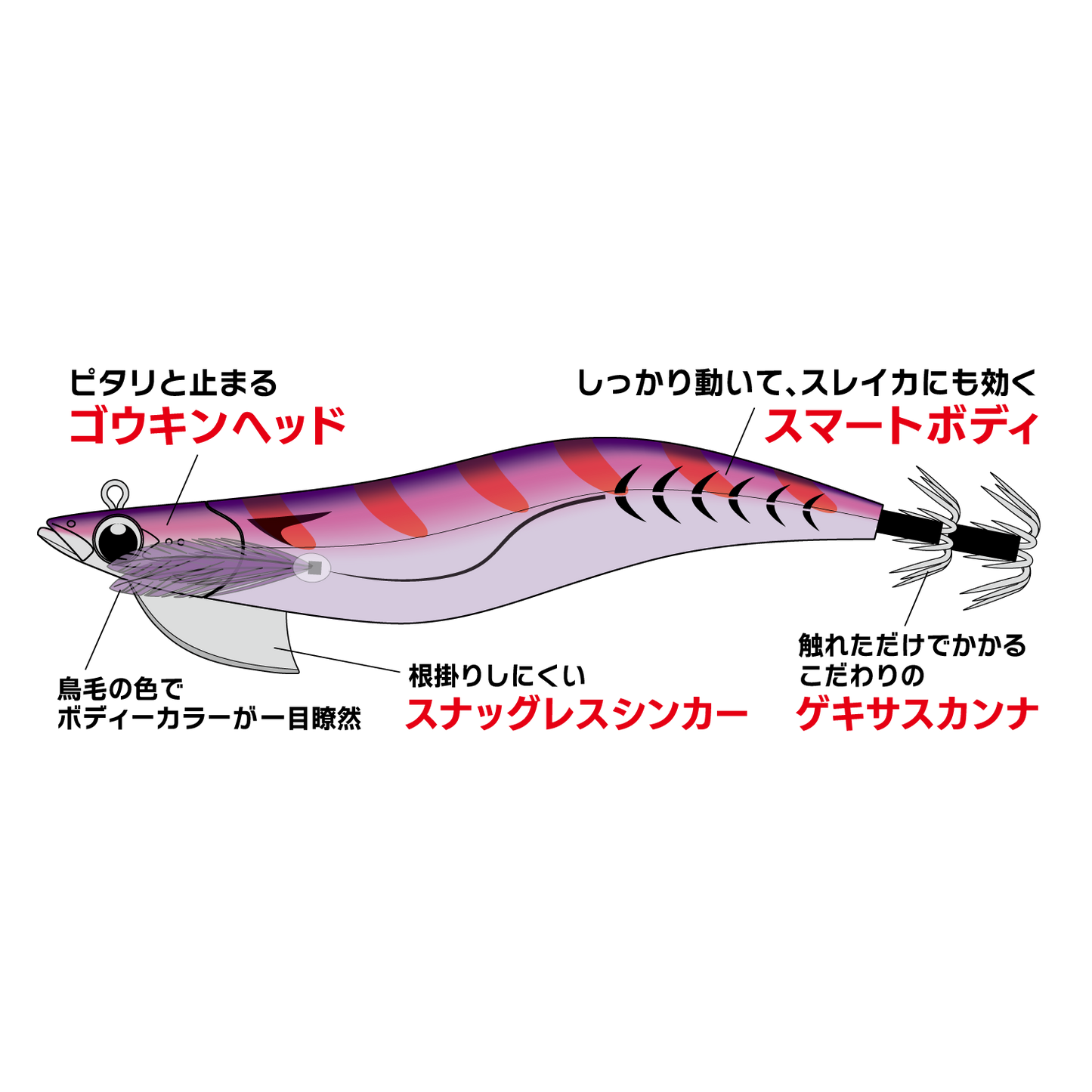 餌木蔵TRスマートフィット
