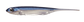 Bass Flash-J　2inch