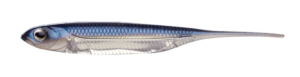 Bass Flash-J　2inch