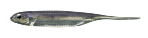 Flash-J 3inch