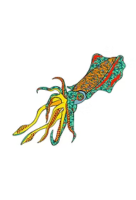 BFステッカー NAVY APPAREL