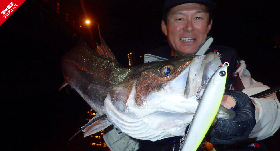 APIA / アピア | 宮崎市の釣具店 FISHING BASE PLAISANCE APIA / アピア | 宮崎市の釣具店 FISHING BASE PLAISANCE