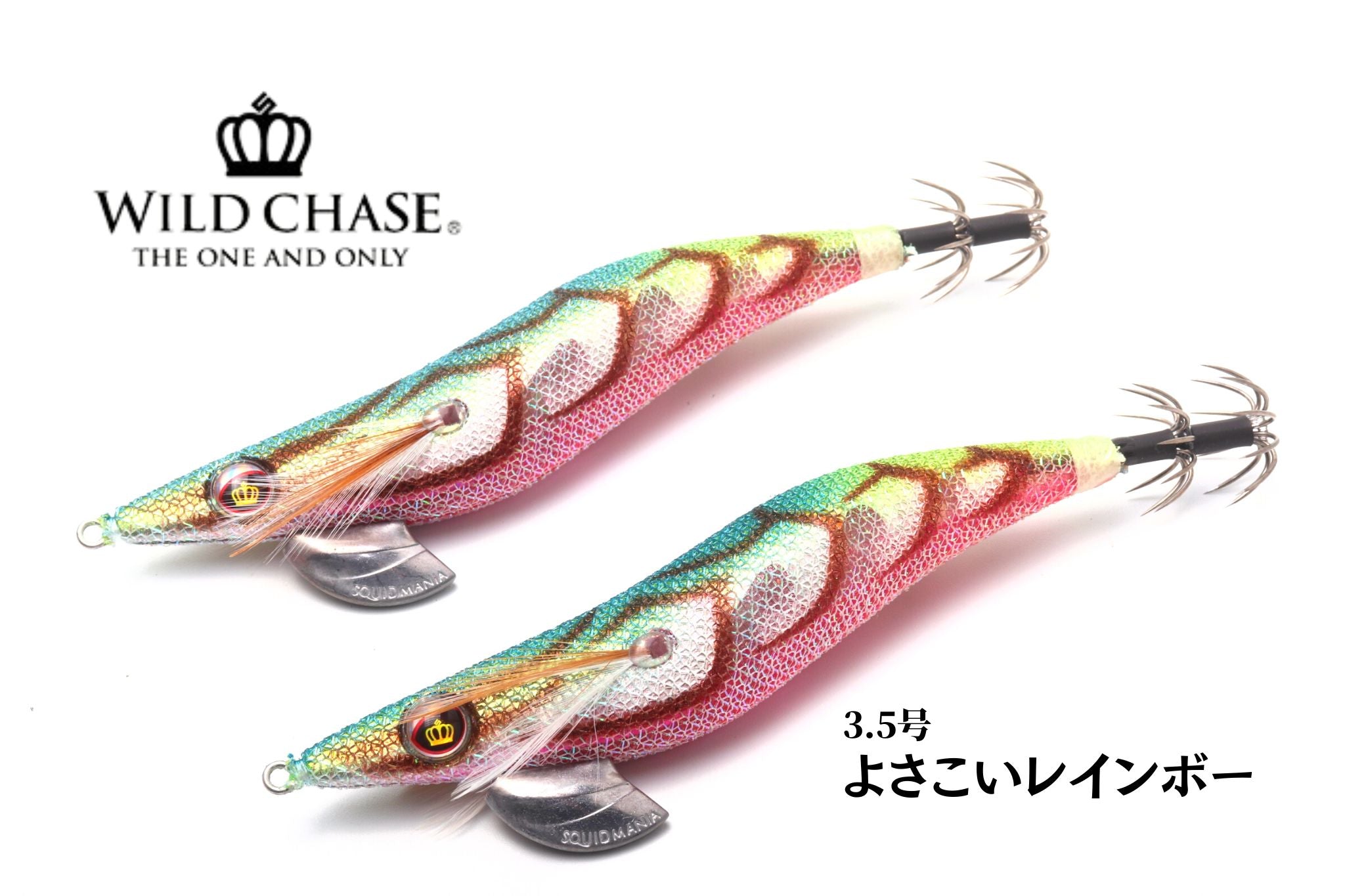 WILD CHASE | 宮崎市の釣具店 FISHING BASE PLAISANCE