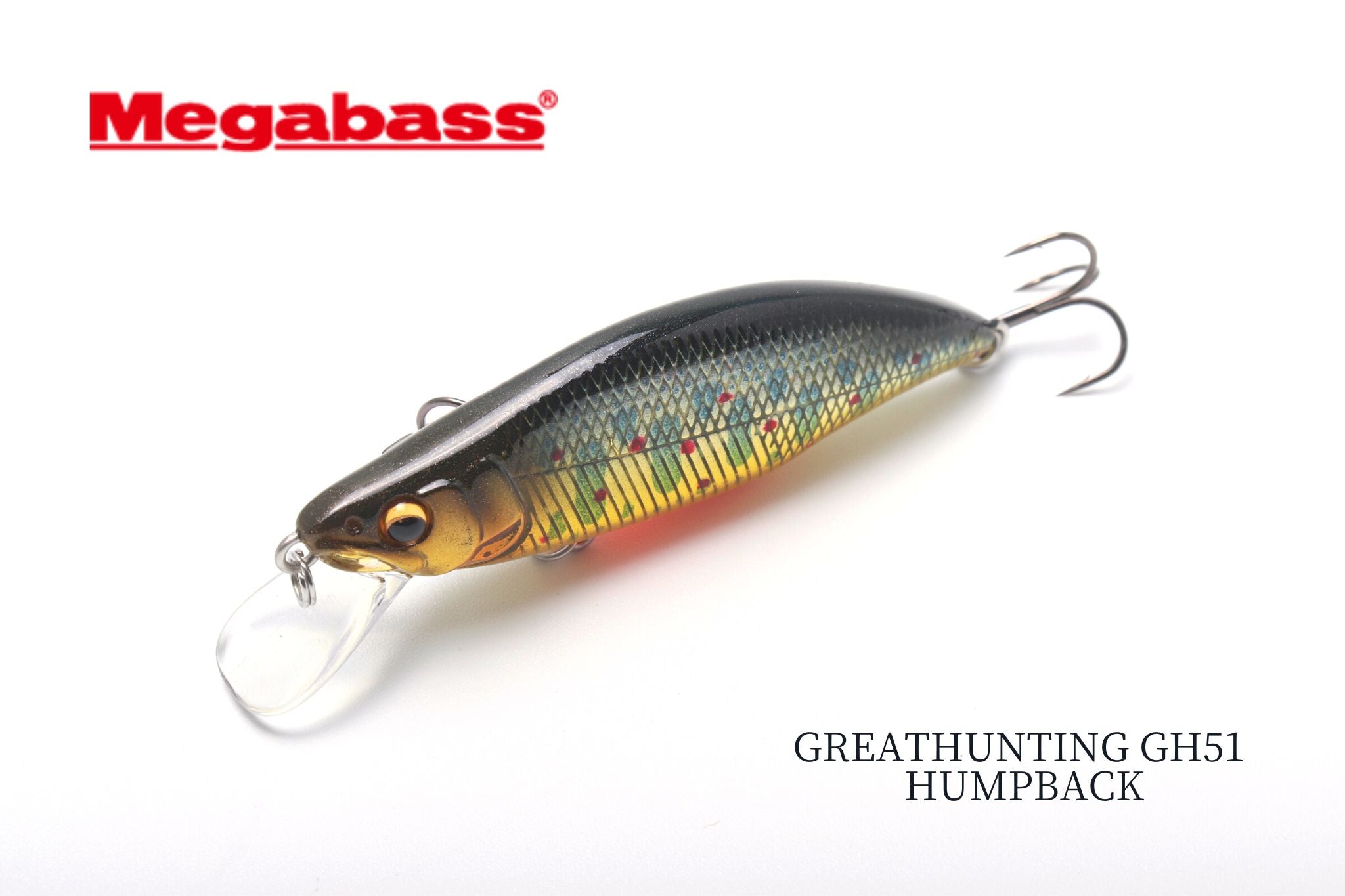 GREATHUNTING GH51 HUMPBACK/ハンプバック | 宮崎市の釣具店 FISHING