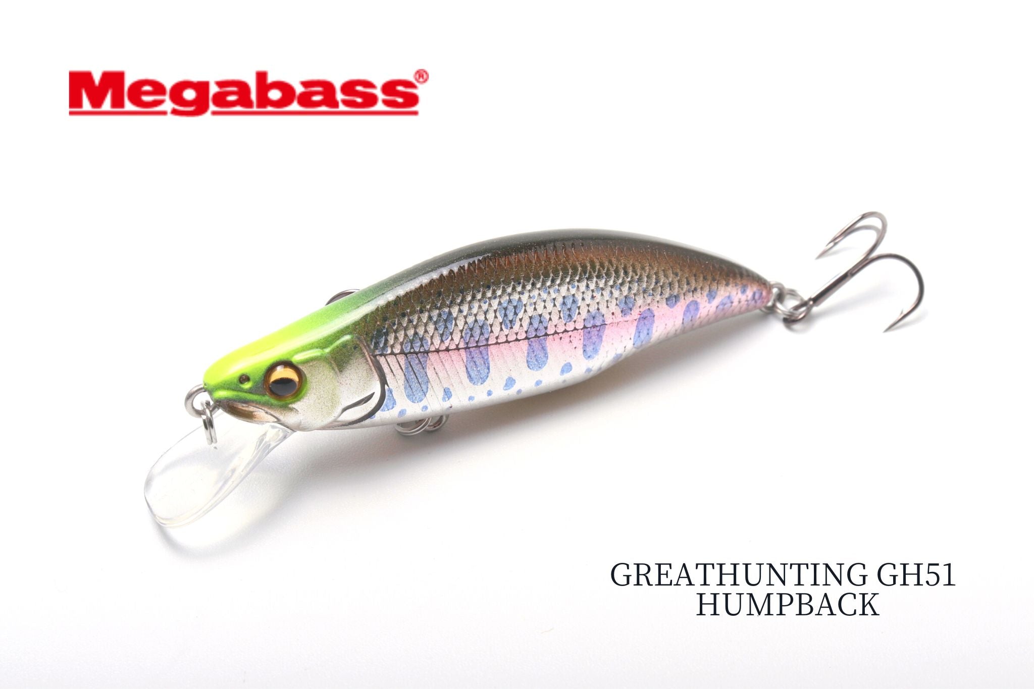 GREATHUNTING GH51 HUMPBACK/ハンプバック | 宮崎市の釣具店 FISHING BASE PLAISANCE