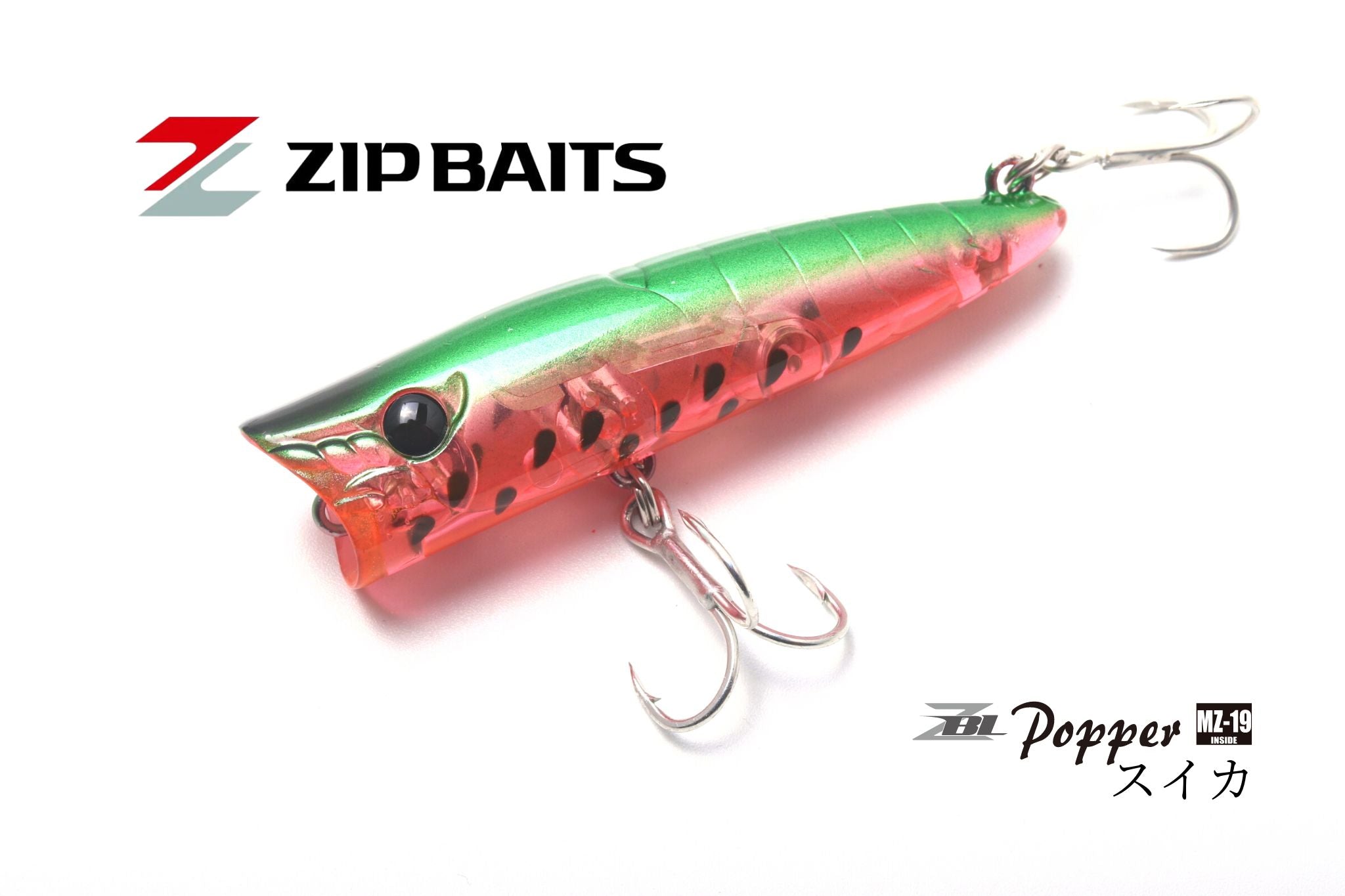 ZBL Popper/ザブラポッパー | 宮崎市の釣具店 FISHING BASE PLAISANCE