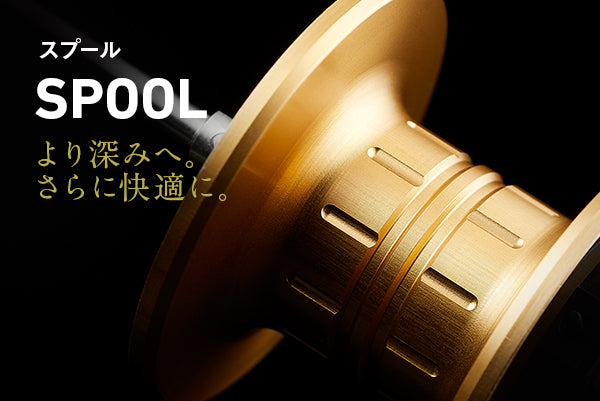 21 SALTIGA IC 300HL-SJ 左巻き DAIWA | 宮崎市の釣具店 FISHING BASE