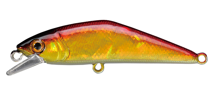 D-コンタクトアワビ | 宮崎市の釣具店 FISHING BASE PLAISANCE D-コンタクトアワビ | 宮崎市の釣具店 FISHING BASE PLAISANCE